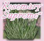 Rosemary Supreme